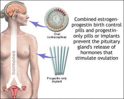 Равнение - на Запад! Равнение - на Запад!